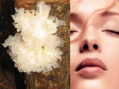 skin benefits of snow mushroom